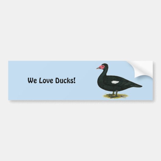 Muscovy Black Drake Bumpersticker (Voorkant)