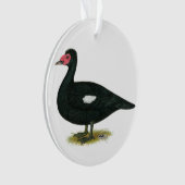 Muscovy Black Drake Ornament (voorkant)