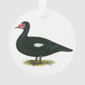 Muscovy Black Drake Ornament (achterkant)