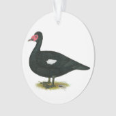 Muscovy Black Drake Ornament (voorkant)