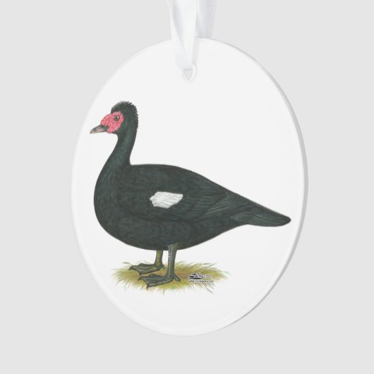Muscovy Black Drake Ornament (voorkant)