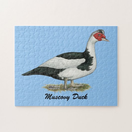 Muscovy Black Pied Drake Legpuzzel (Horizontaal)