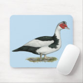 Muscovy Black Pied Drake Muismat (Met muis)