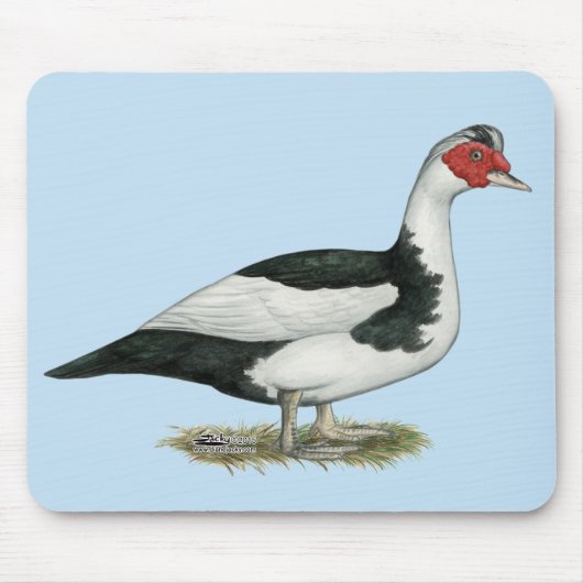 Muscovy Black Pied Drake Muismat (Voorkant)