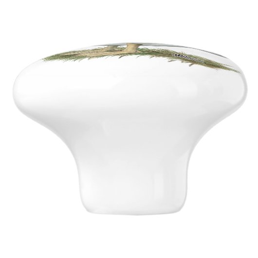 Muscovy Black Pied Duck Keramische Knop (Zijkant)