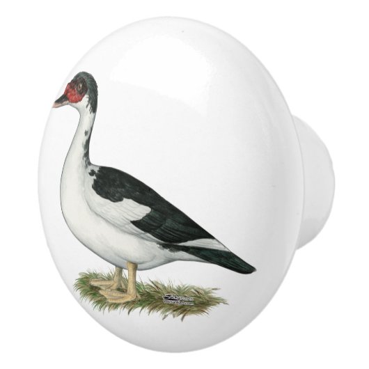 Muscovy Black Pied Duck Keramische Knop (Rechts)
