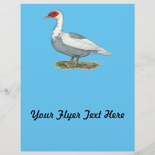 Muscovy Blue Pied Duck Flyer (Voorkant)