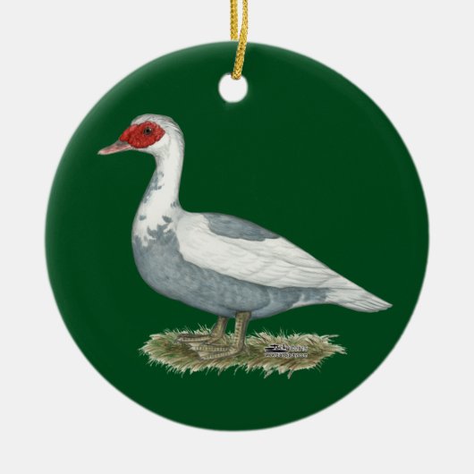 Muscovy Blue Pied Duck Keramisch Ornament (Voorkant)
