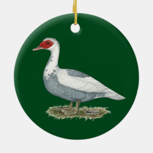 Muscovy Blue Pied Duck Keramisch Ornament (Achterkant)