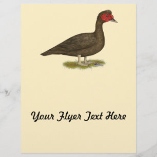 Muscovy Drake Chocolade Flyer