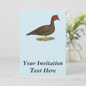 Muscovy Drake Chocolade Kaart (Staand voorkant)