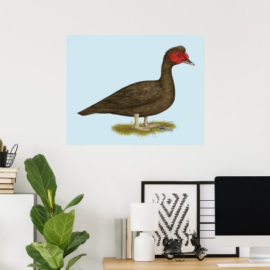Muscovy Drake Chocolade Poster (Thuiskantoor)