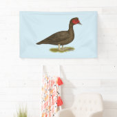 Muscovy Drake Chocolade Spandoek (Insitu)