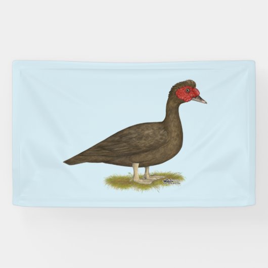 Muscovy Drake Chocolade Spandoek (Horizontaal)