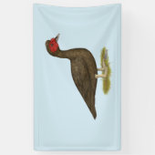 Muscovy Drake Chocolade Spandoek (Verticaal)
