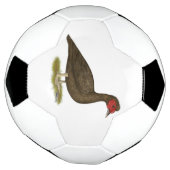 Muscovy Drake Chocolade Voetbal (Gedraaid)