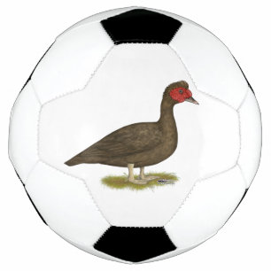 Muscovy Drake Chocolade Voetbal