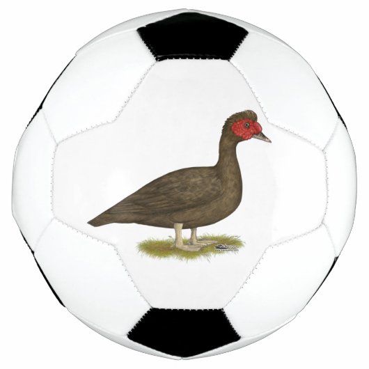 Muscovy Drake Chocolade Voetbal (Voorkant)