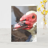Muscovy Drake Kaart (Gele Bloem)