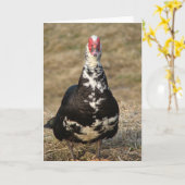 Muscovy Drake Kaart (Gele Bloem)