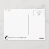 Muscovy Duck Briefkaart (Achterkant)