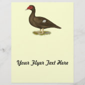 Muscovy Duck Chocolade Flyer (Voorkant)