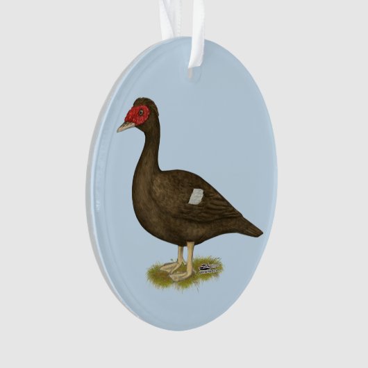Muscovy Duck Chocolade Ornament (voorkant)