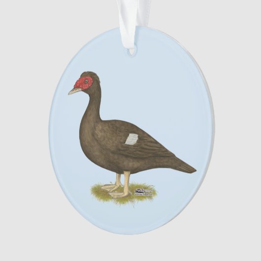 Muscovy Duck Chocolade Ornament (voorkant)