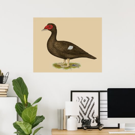 Muscovy Duck Chocolade Poster (Thuiskantoor)