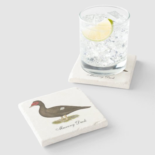 Muscovy Duck Chocolade Stenen Onderzetter (Zijkant)