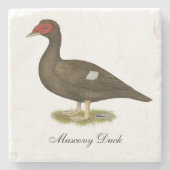 Muscovy Duck Chocolade Stenen Onderzetter (Voorkant)