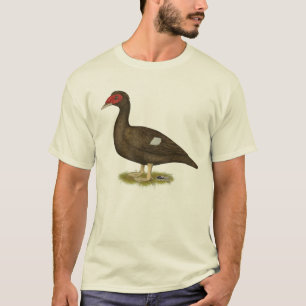 Muscovy Duck Chocolade T-shirt