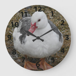 Muscovy Duck Clock Grote Klok