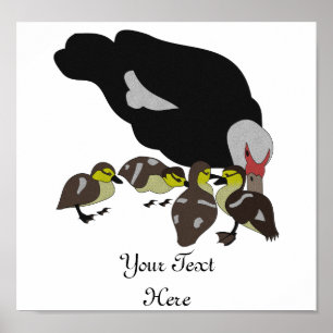Muscovy Duck en Schattig Ducking Poster