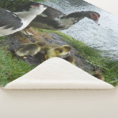 Muscovy Duck Family Sherpa Deken (3/4)