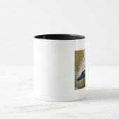 Muscovy Duck Mok (Midden)