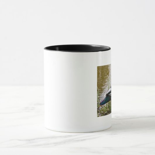 Muscovy Duck Mok (Midden)