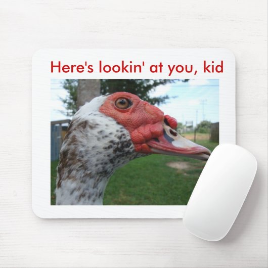 Muscovy Duck mousepad Muismat (Met muis)