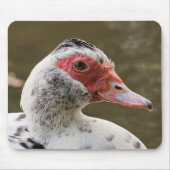 Muscovy Duck Mousepad Muismat (Voorkant)