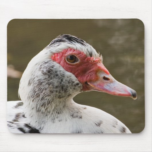 Muscovy Duck Mousepad Muismat (Voorkant)