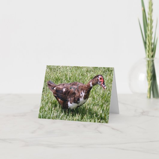 Muscovy Duck Photo Folded Note Card Notitiekaartje (Voorkant)