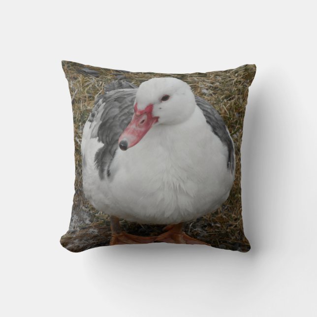 Muscovy Duck Sierkussen (Voorkant)