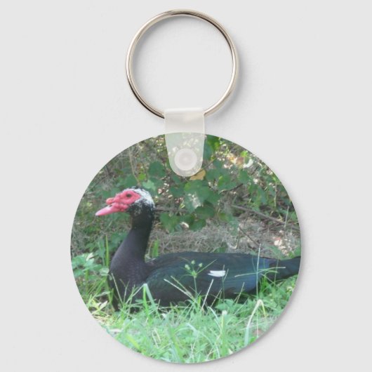 Muscovy Duck Sleutelhanger (Voorkant)