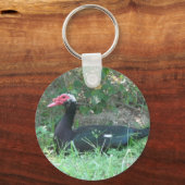 Muscovy Duck Sleutelhanger (Voorkant)