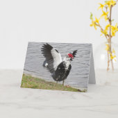 Muscovy Duck Waving Wings Wenskaart Kaart (Gele Bloem)
