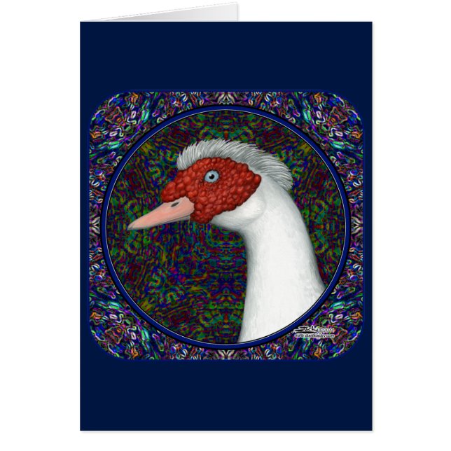 Muscovy Duck White (Voorkant)