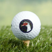 Muscovy Duck White Golfballen (Insitu Shirt)