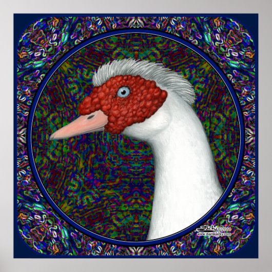 Muscovy Duck White Poster (Voorkant)