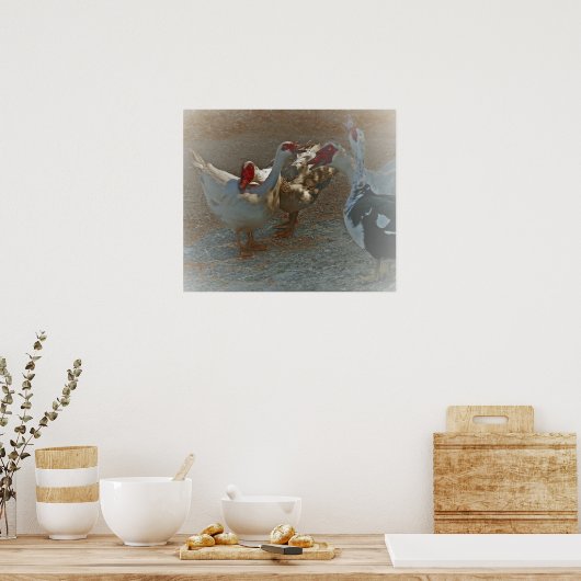 Muscovy Ducks Poster Print (Keuken)