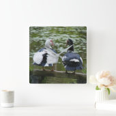 Muscovy Ducks Vierkante Klok (Huis)